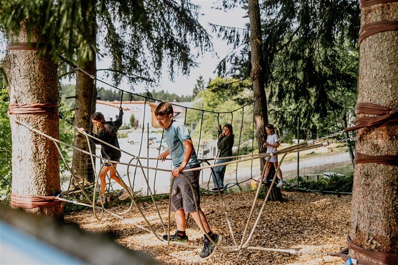 Kinder spielen auf einem Kletterparcours im Wald.