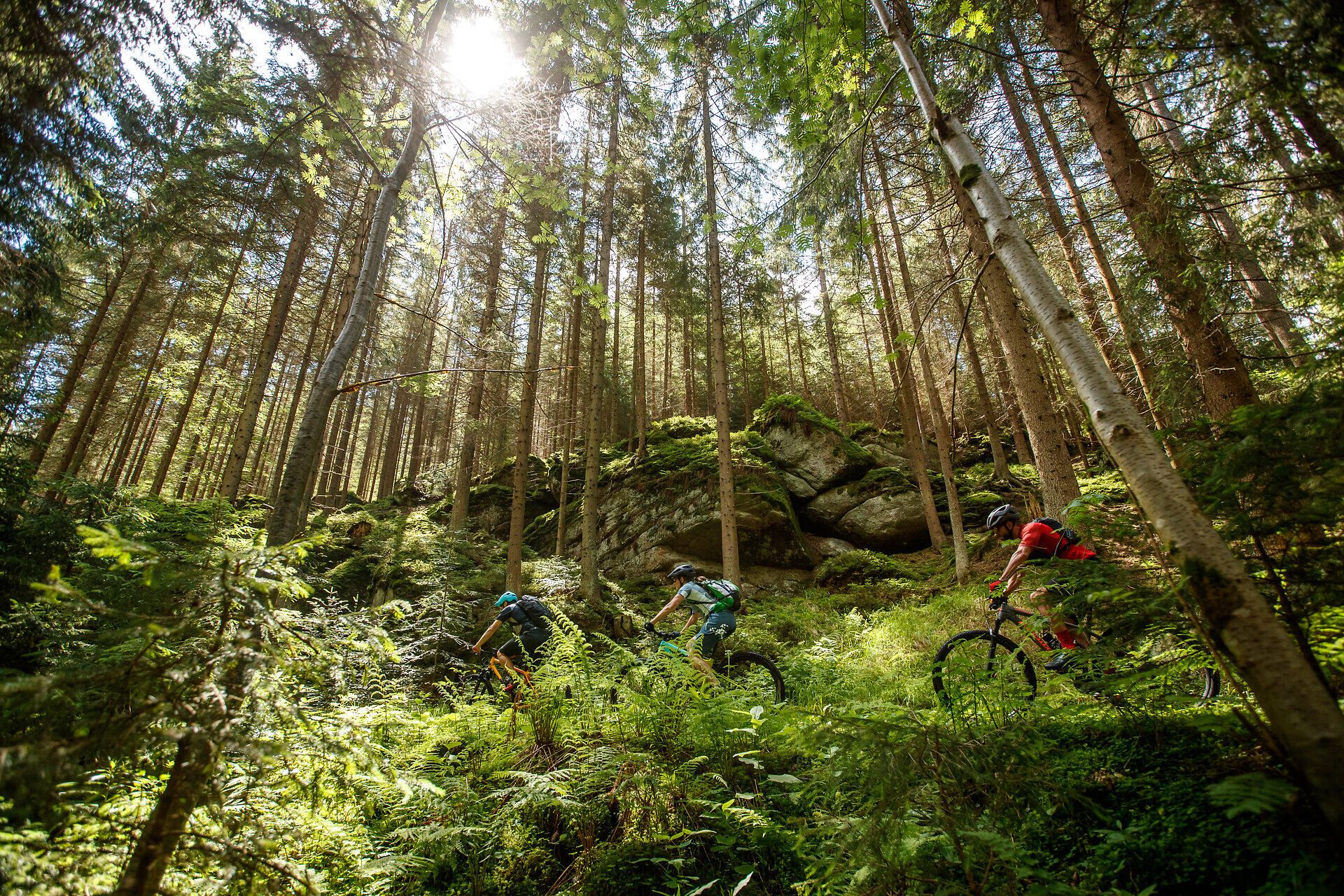 Durch dichte Wälder und über sanfte Hügel schlängelt sich der Granittrail, ein Paradies für Mountainbiker. Die frische Luft und das Rauschen der Blätter schaffen eine unvergessliche Atmosphäre, während die Radfahrer die Schönheit der Natur genießen.