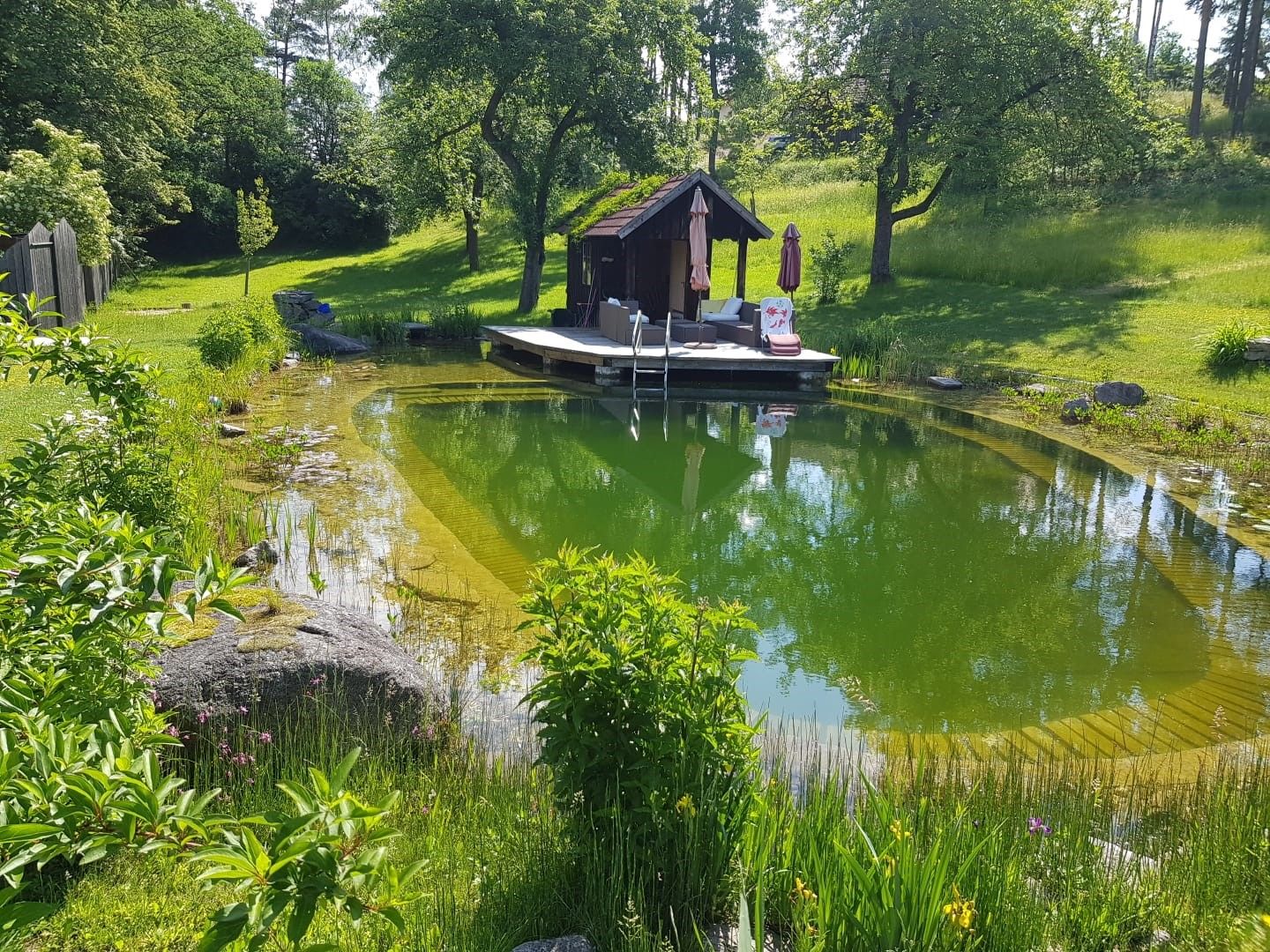 Schwimmteich Ferienhaus Angel