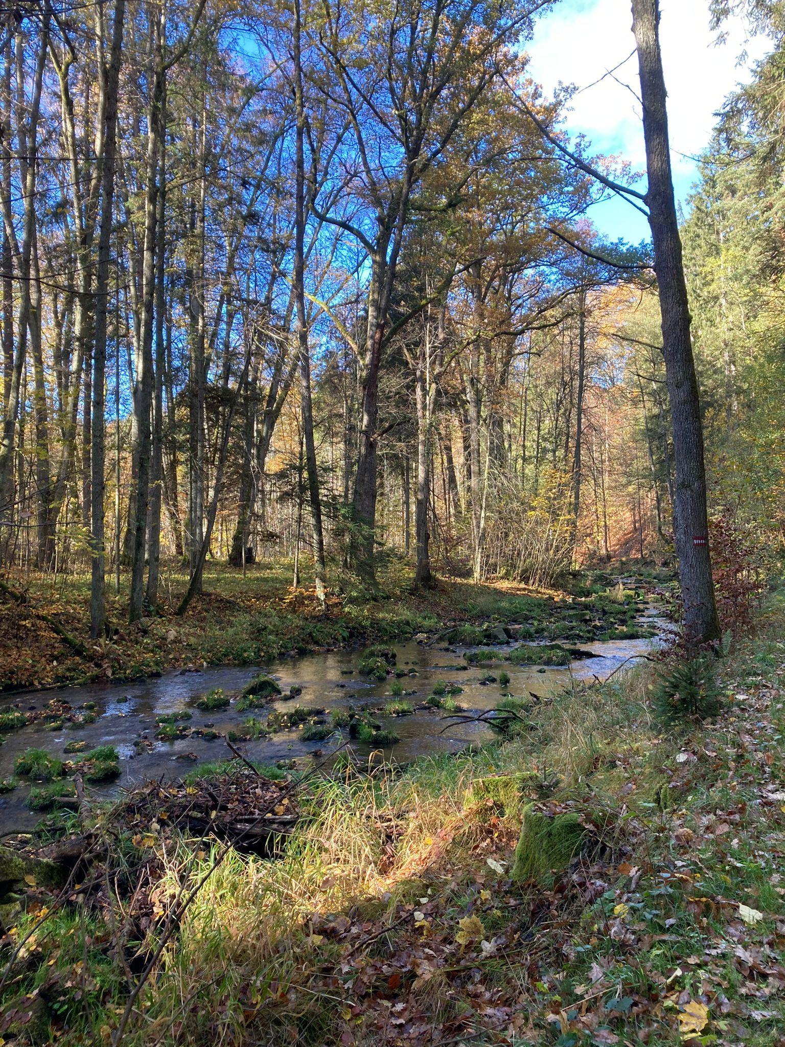 Wanderweg