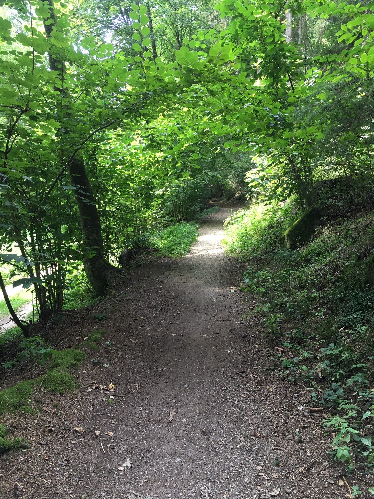 Wanderweg Nr. 31