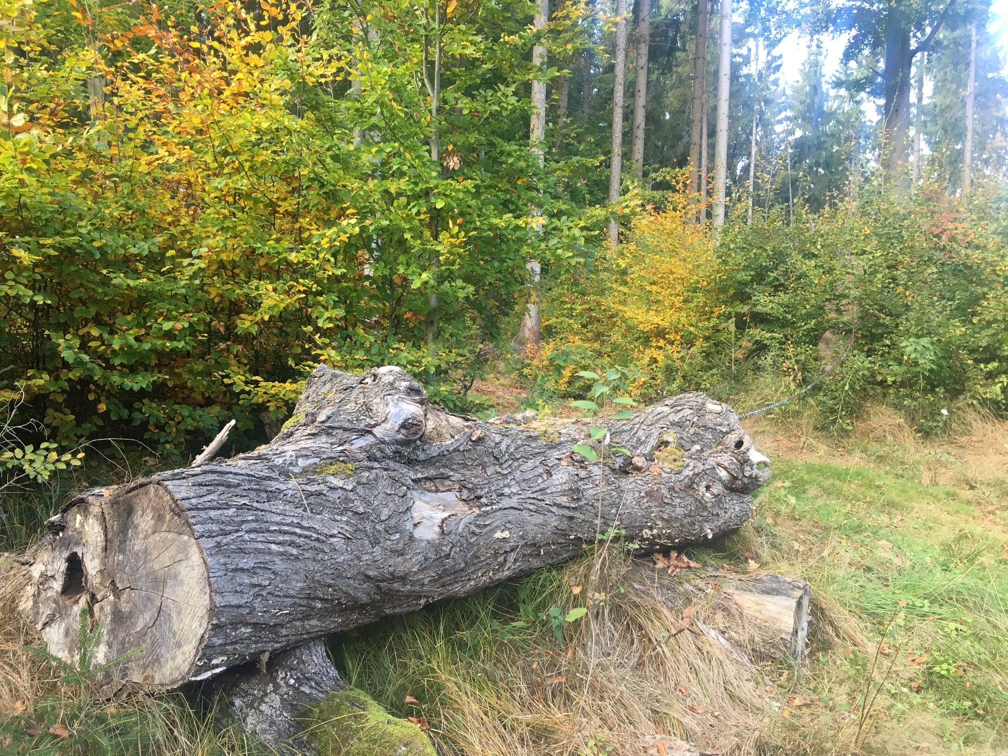 Wandern in Weitra