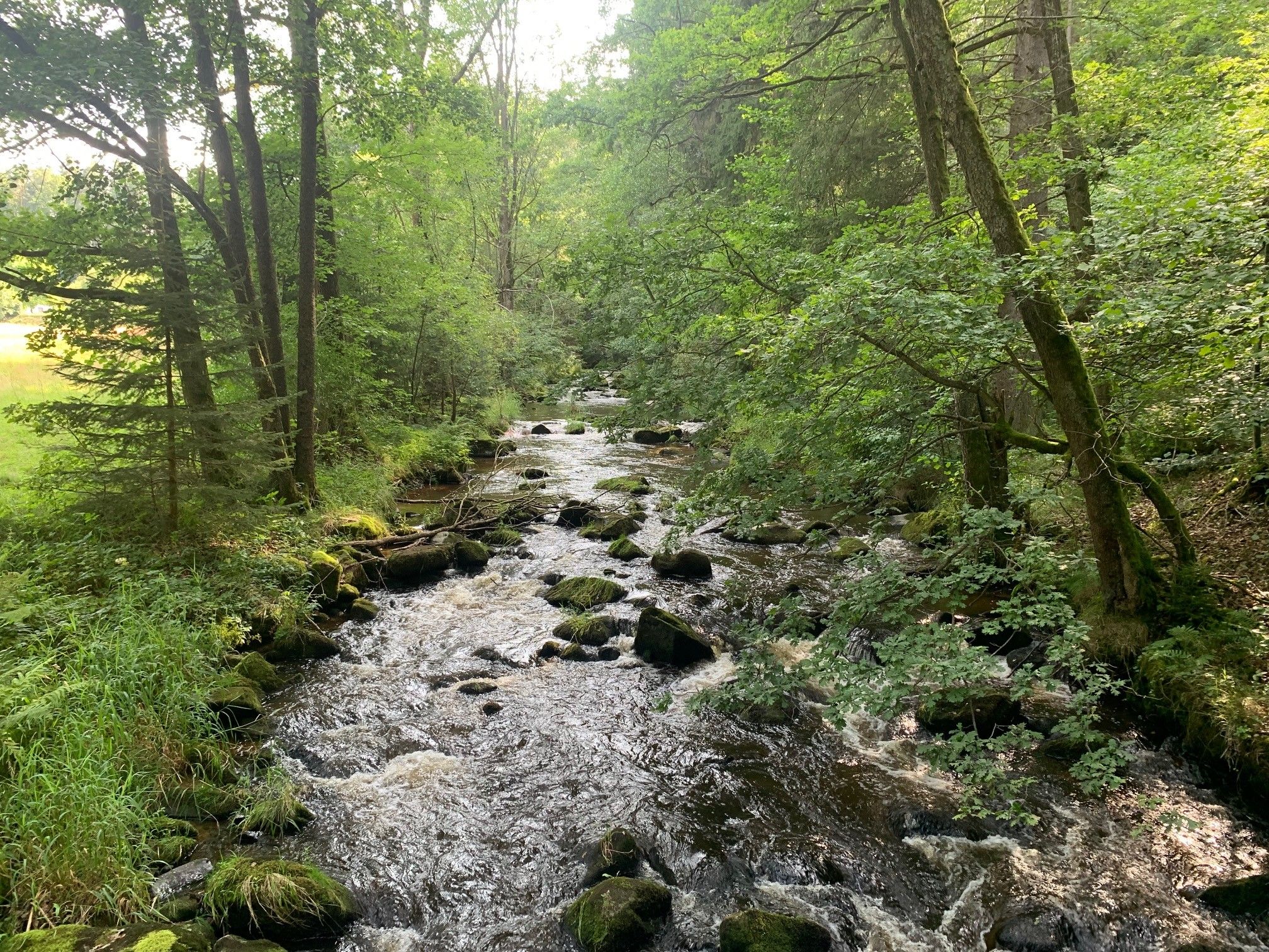 Gabrielental, Brücke bei Ökodorf