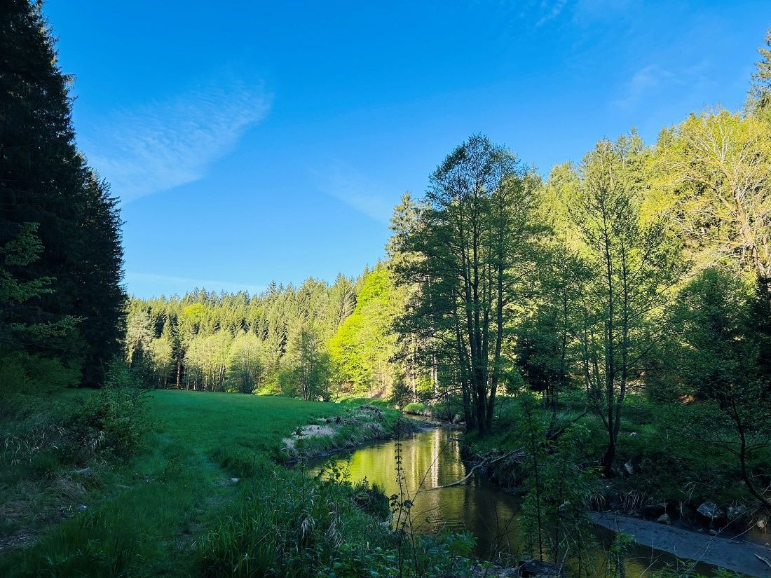 Zwettltal