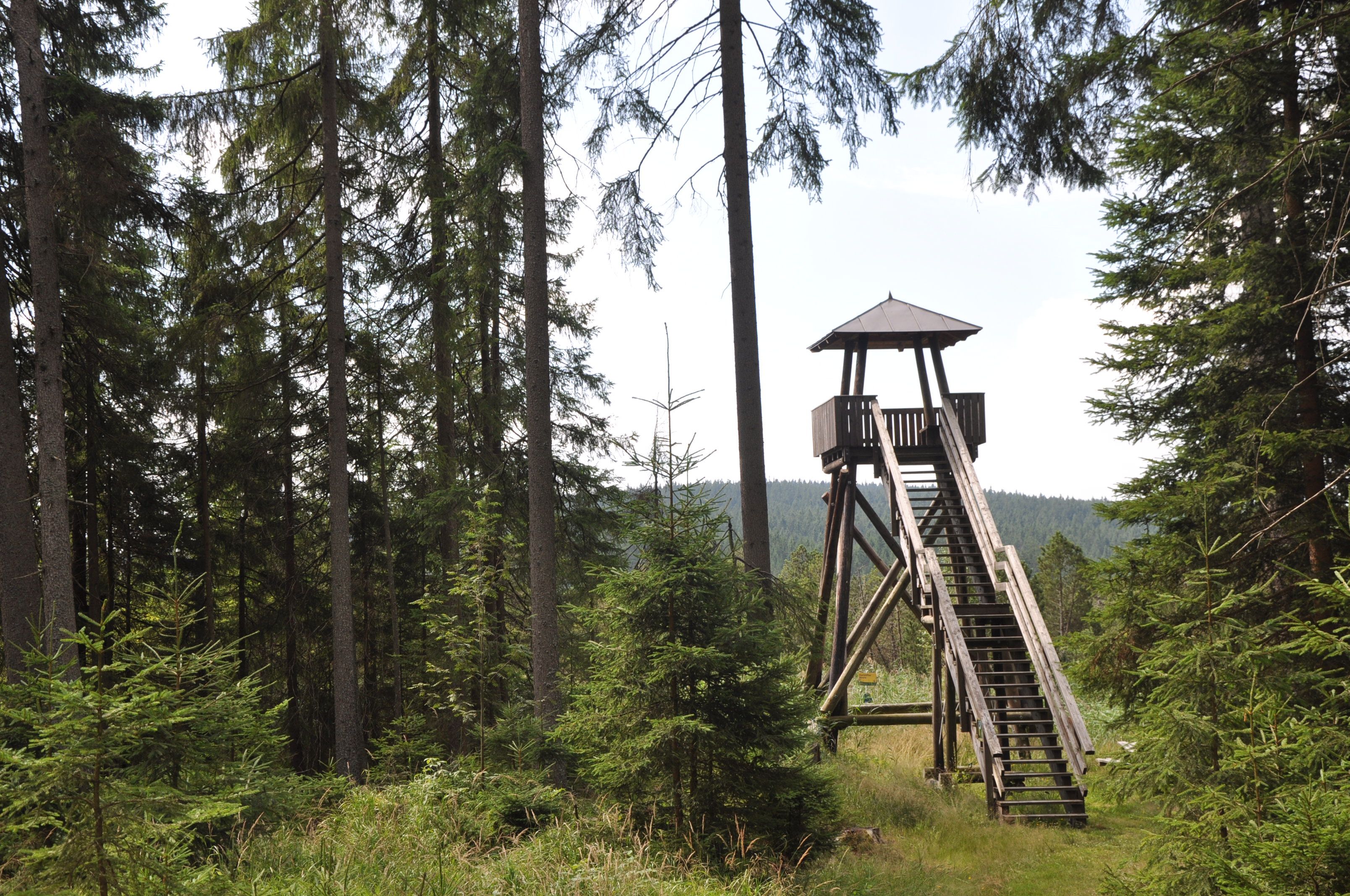 Aussichtsturm Hochmoor Große Haide