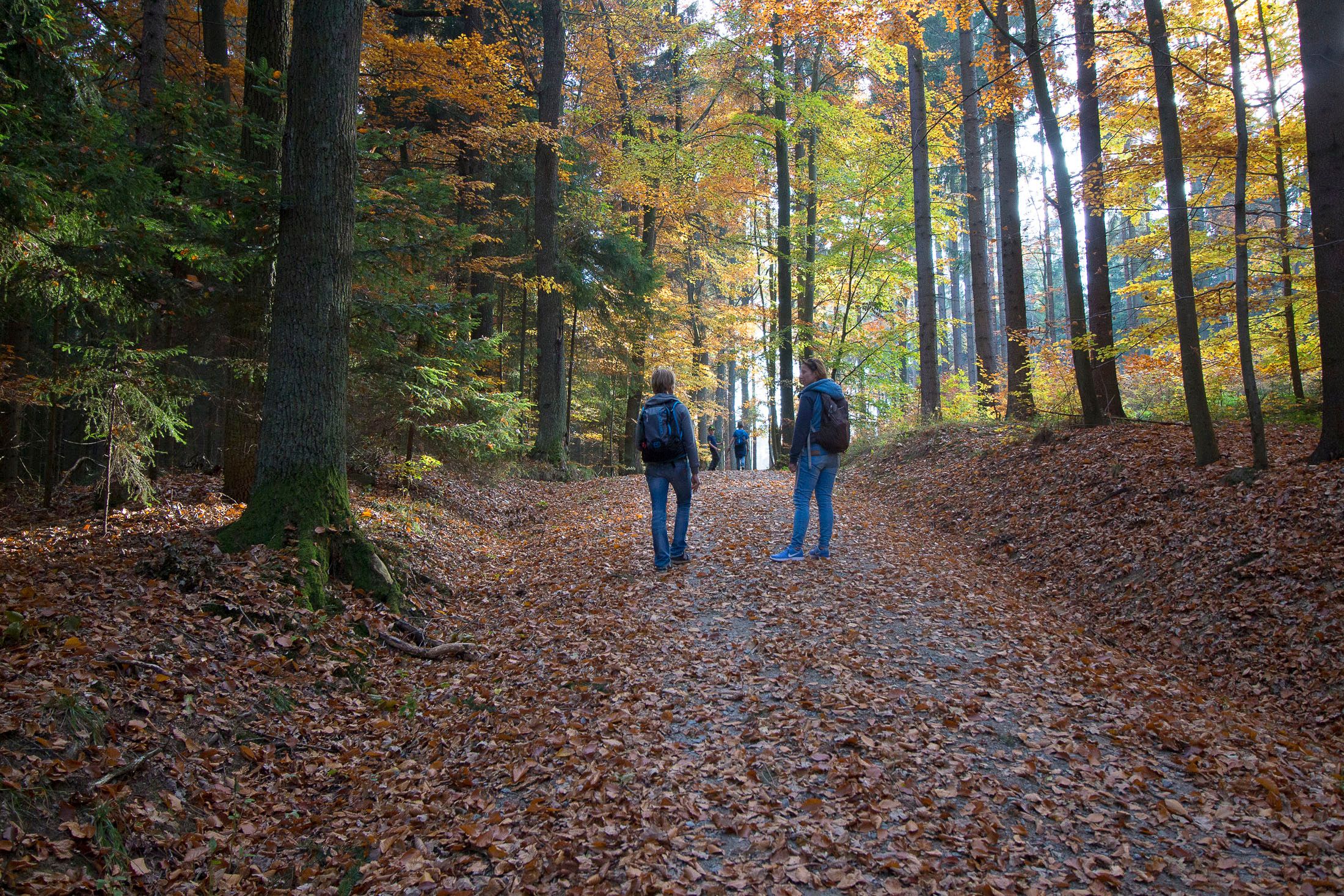 Weitra Wandern
