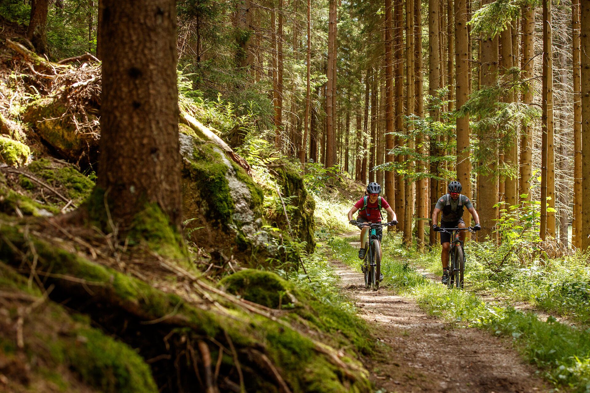 Durch die dichten Wälder des Granittrails schlängeln sich zwei Mountainbiker auf einem schmalen Pfad. Die Sonnenstrahlen brechen durch das Blätterdach und tauchen die Umgebung in ein warmes Licht, während die frische, klare Luft die Sinne belebt. Hier, inmitten der Natur, wird das Abenteuer zum unvergesslichen Erlebnis.