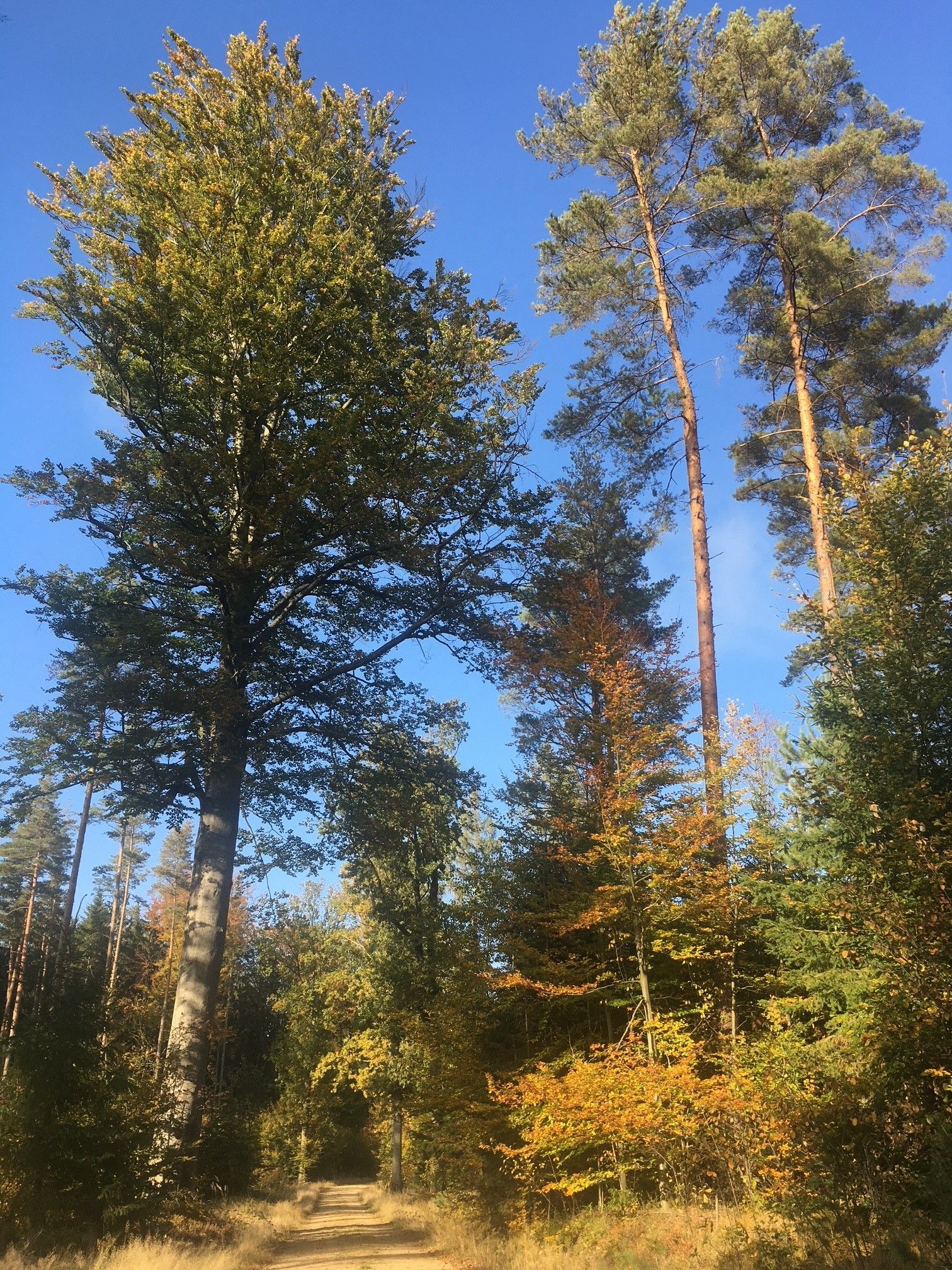 Wandern in Weitra