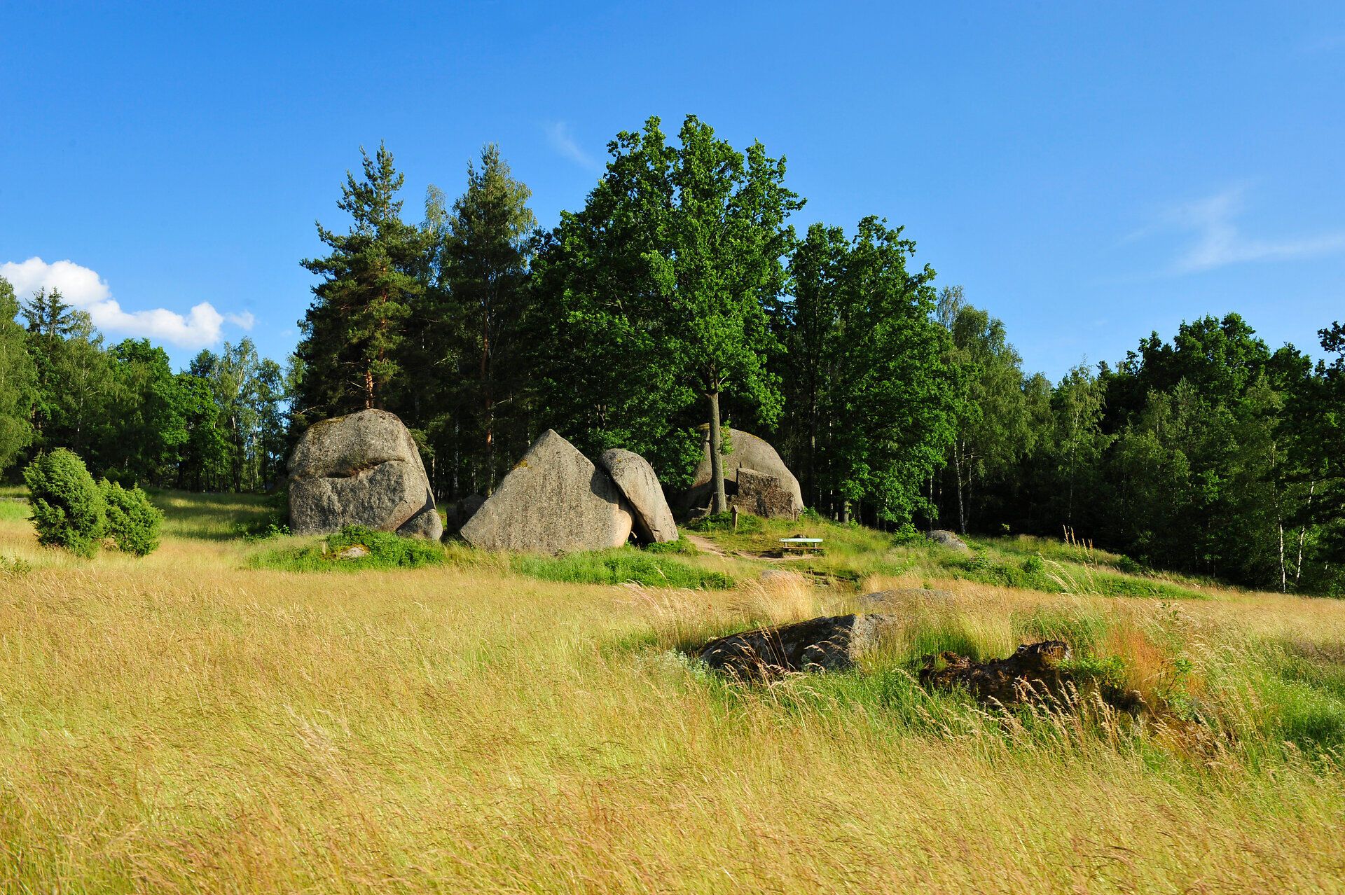 In der sanften Hügellandschaft des Naturparks Blockheide Gmünd entfaltet sich ein malerisches Bild aus großen, moosbedeckten Felsen, umgeben von üppigem Grün und strahlend blauem Himmel. Die warmen Sonnenstrahlen laden dazu ein, die Ruhe der Natur zu genießen und die Schönheit der Umgebung zu erkunden.
