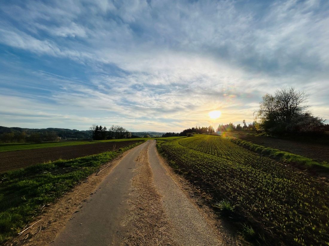 Abendstimmung kurz vor Jagenbach
