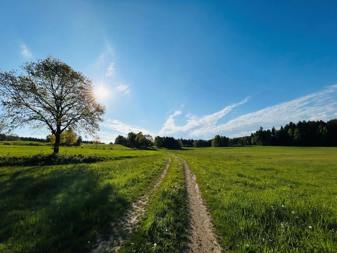 Preinreichs