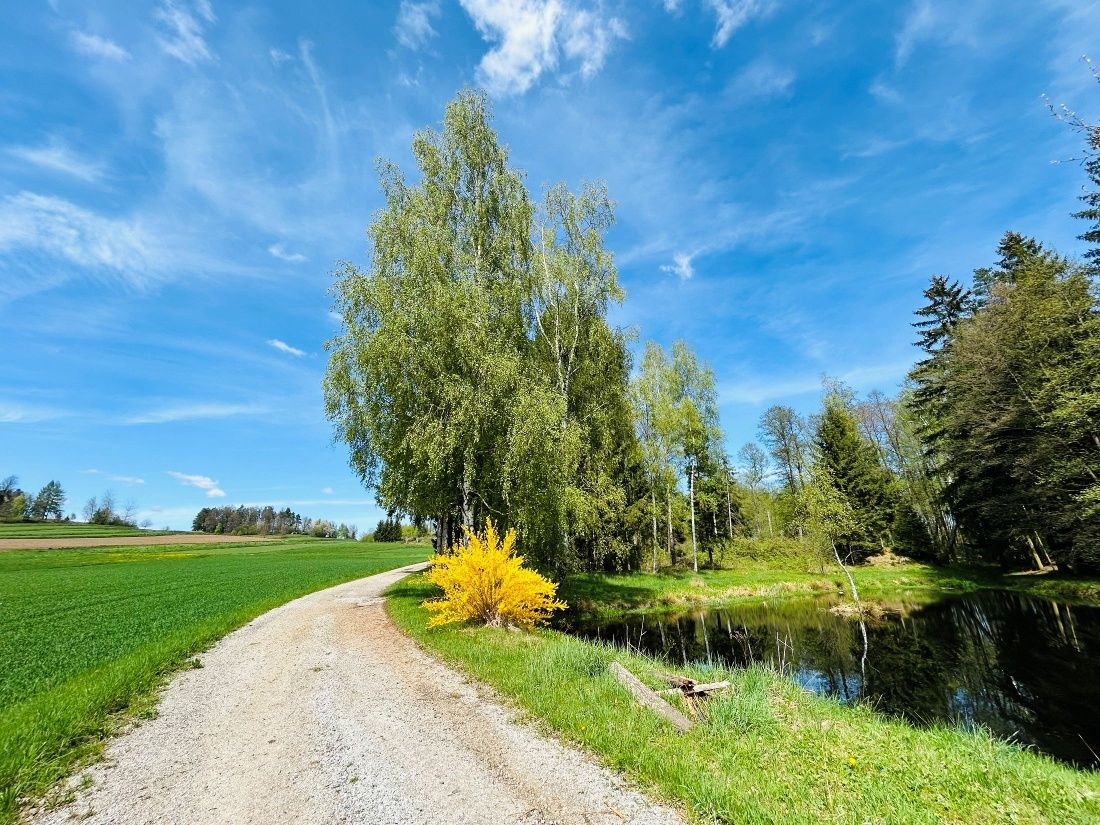 Siebenlinden