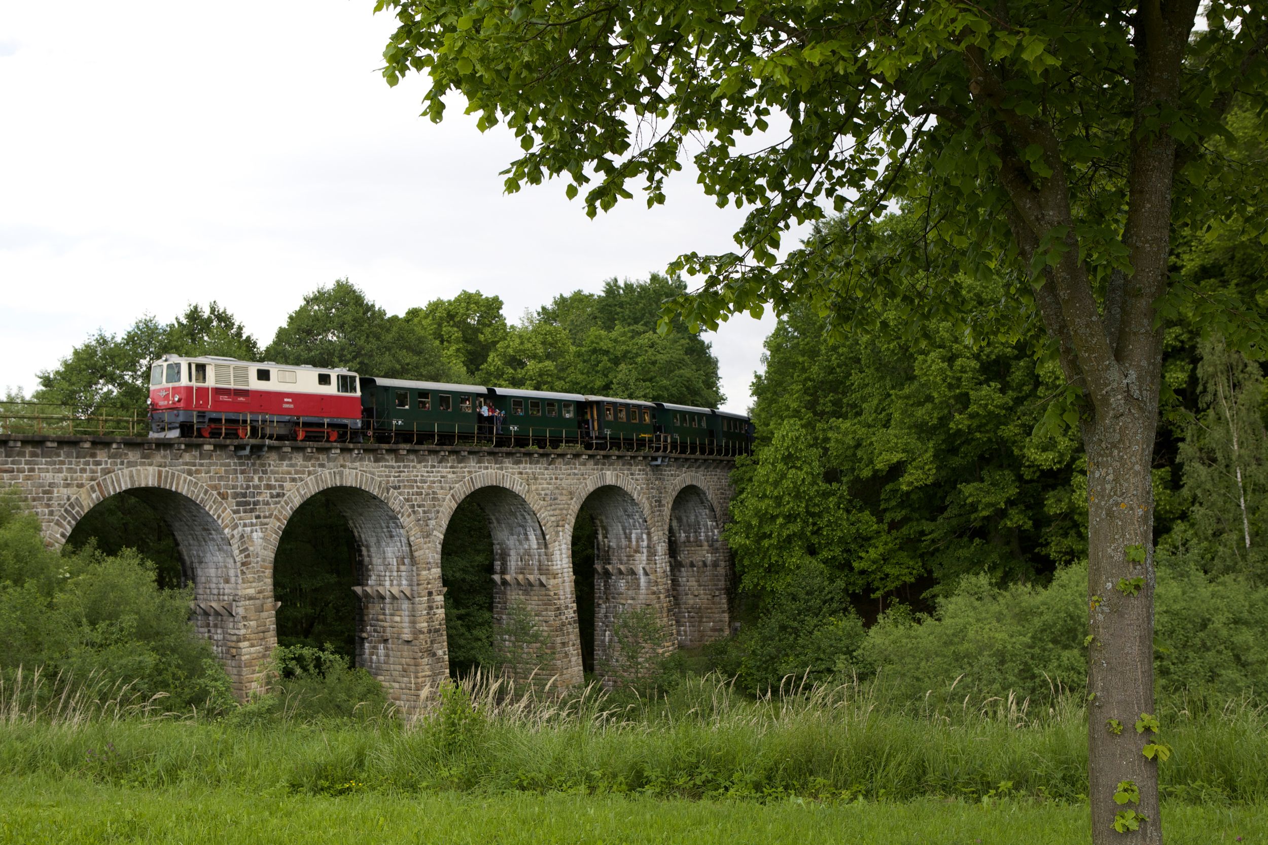 Ein Zug fährt über ein steinernes Viadukt in einer grünen Landschaft.