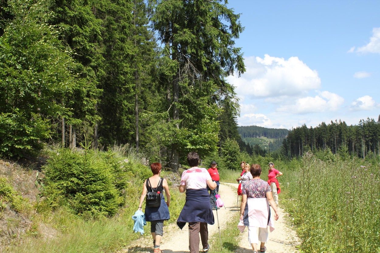 Eisenwurzenweg 608