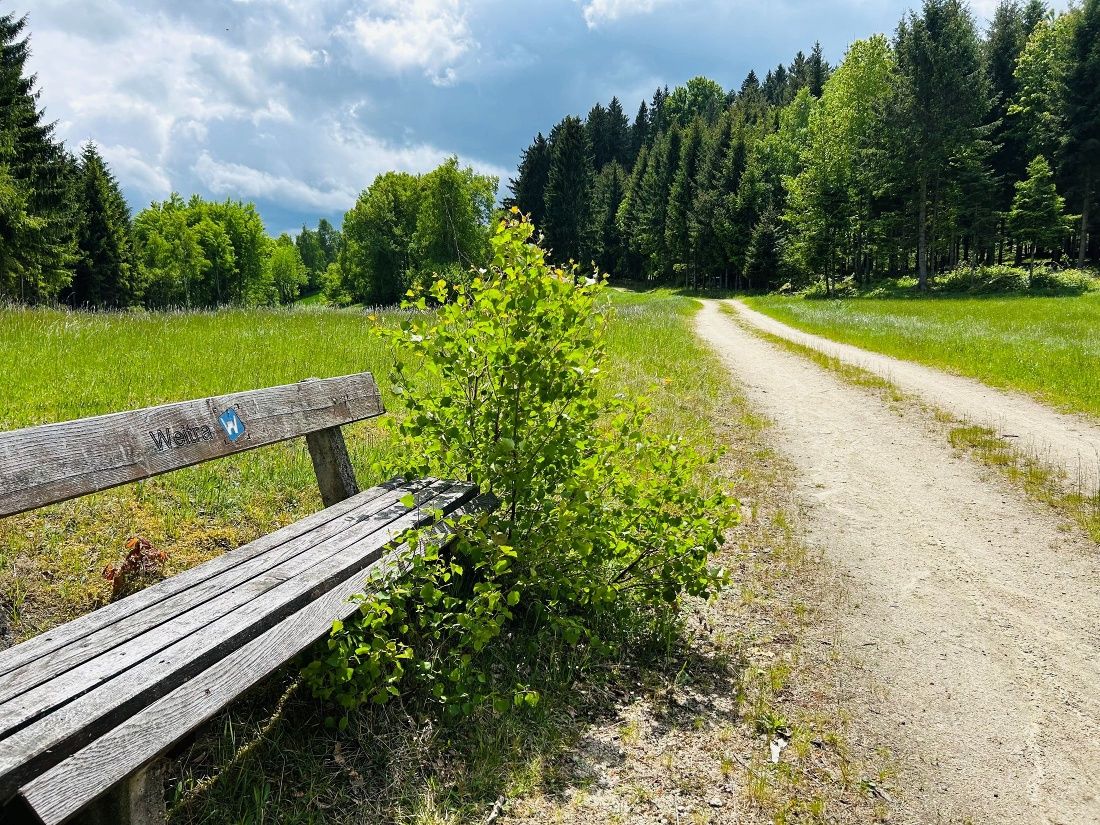 Weg bei Weitra