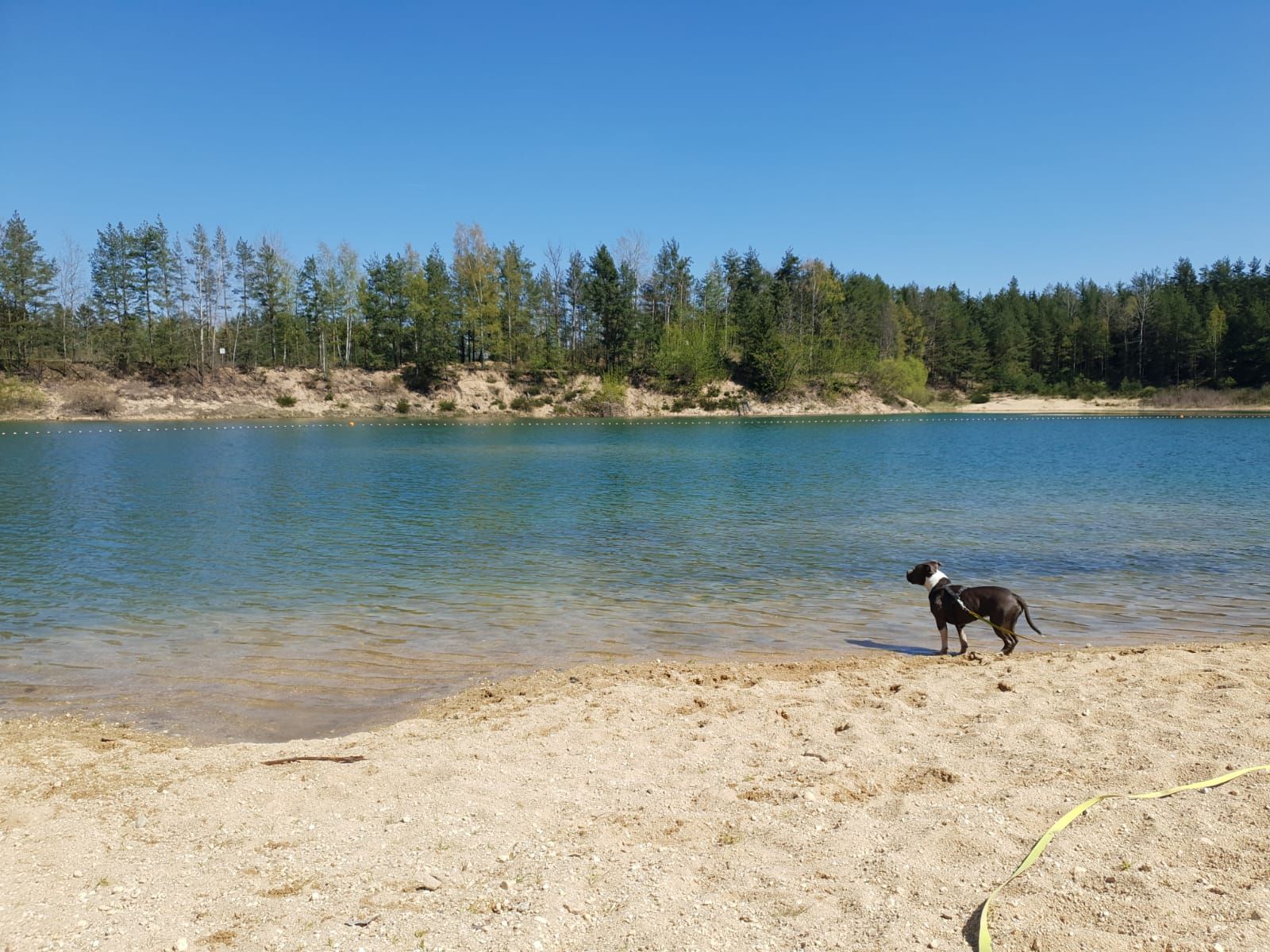 Baden mit Hund im Gmünder Strandbad