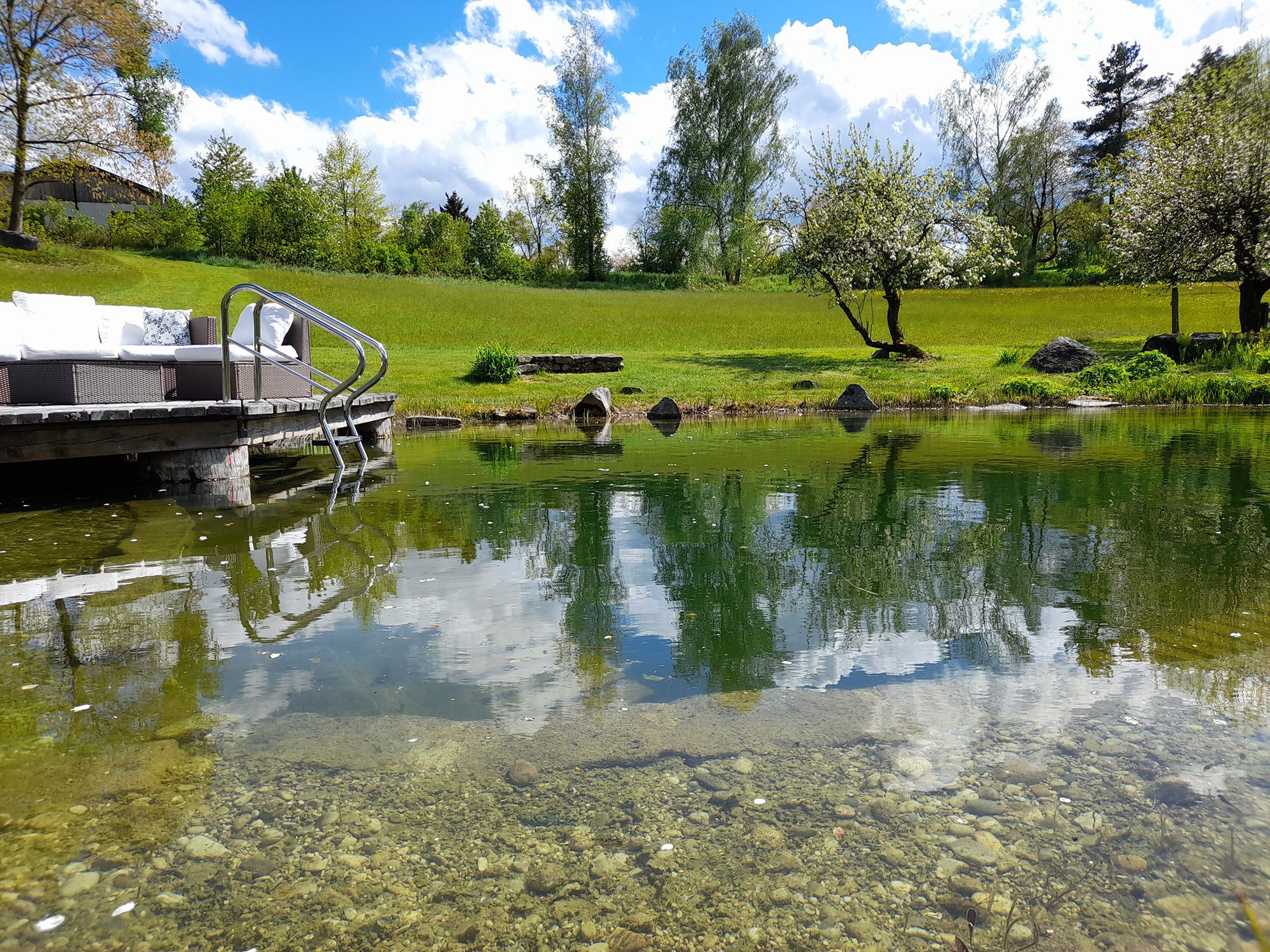 Schwimmteich im Mai mit Steg