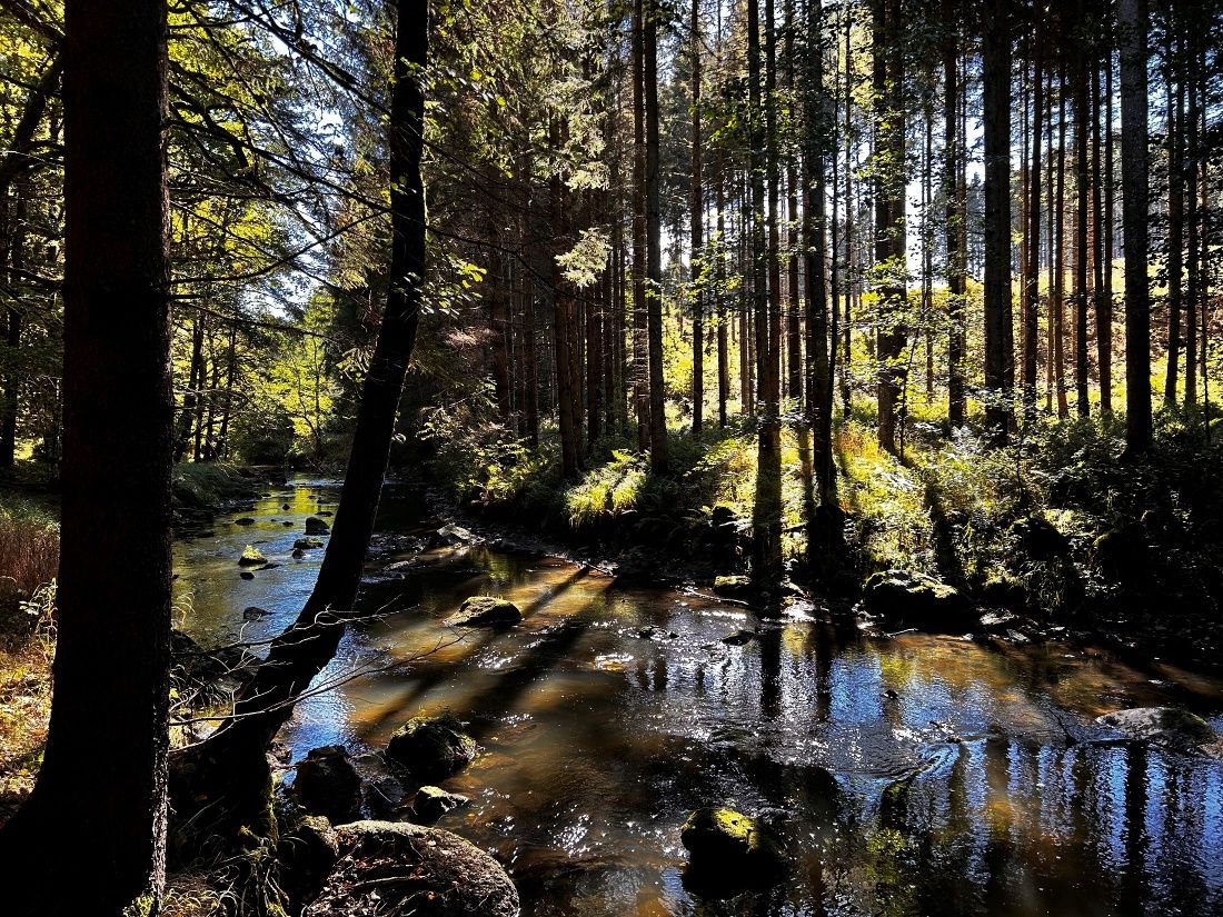 Kamptal